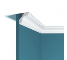 Карниз потолочный Perfect Plus P05 49*49