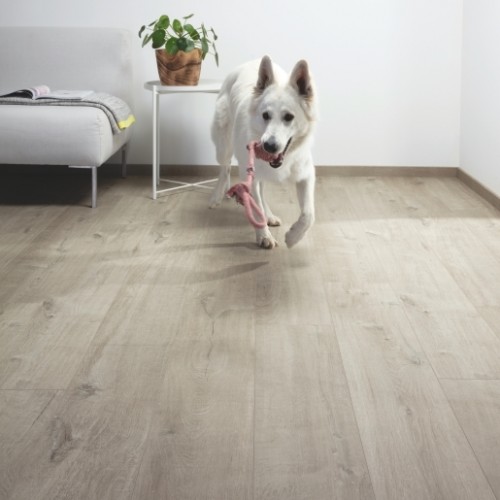  Виниловый пол Quick-Step Pulse Glue+ PUGP40105 Дуб хлопковый светло-серый